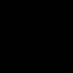 Meet your Posher, Cash